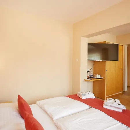 Alpenheart 酒店 巴德加斯坦